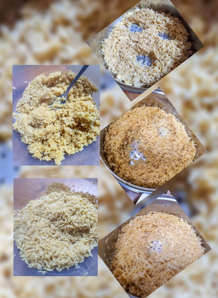 Langues d'oiseau