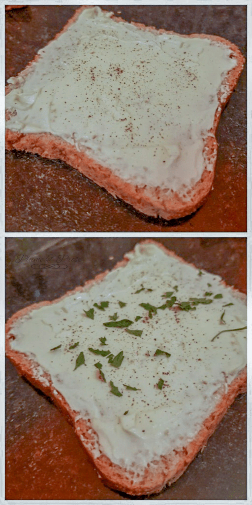 Croque saumon