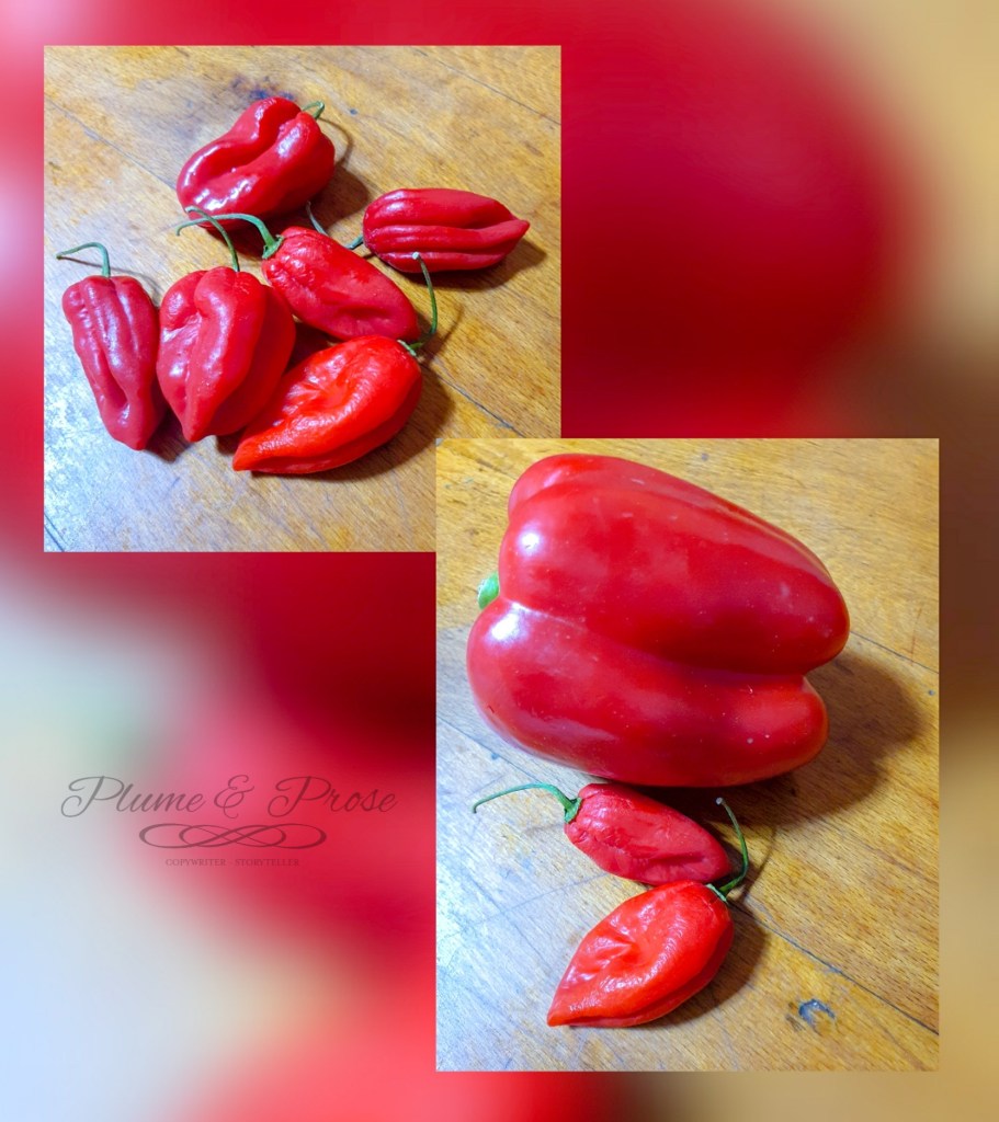 Préparation du "Sambal Belacan" ou la sauce chili à la pâte de crevettes