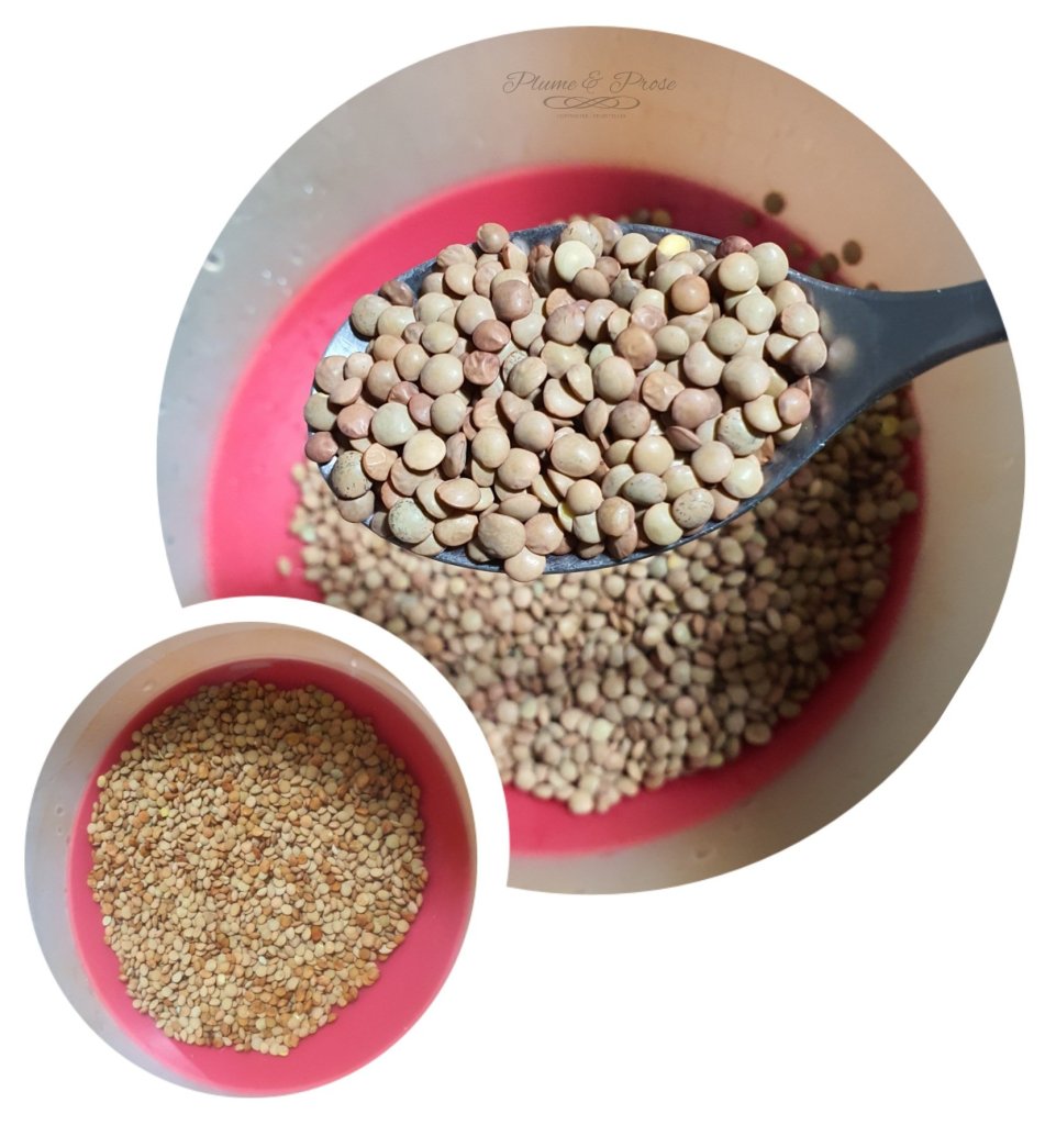Préparation du dhal de lentilles 