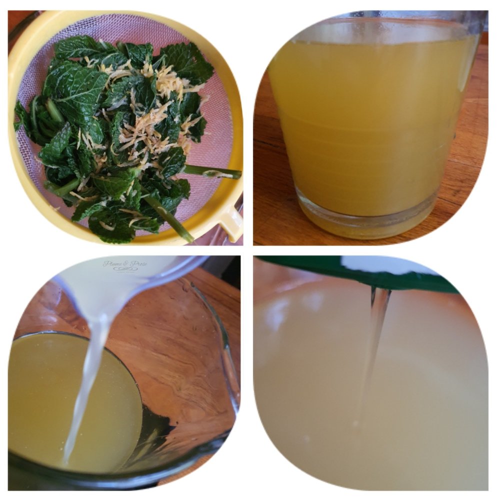 Préparation de l'Infusion glacée Gingembre, Menthe, Citron