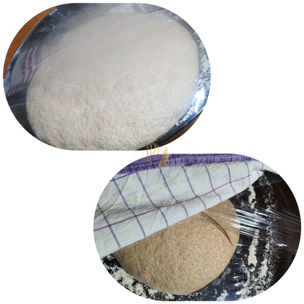 Base de la pâte à pain